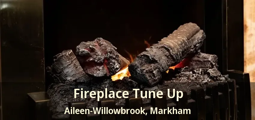 Fireplace Tune Up Aileen-Willowbrook, Markham - ON Fireplace Tune Up Aileen-Willowbrook, Markham - ON