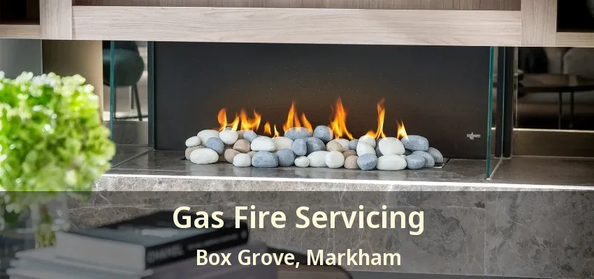 Gas Fire Servicing Box Grove, Markham - ON Gas Fire Servicing Box Grove, Markham - ON
