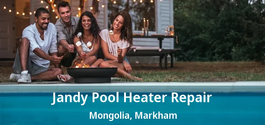 Jandy Pool Heater Repair Mongolia, Markham - ON