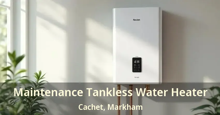 Maintenance Tankless Water Heater Cachet, Markham - ON Maintenance Tankless Water Heater Cachet, Markham - ON