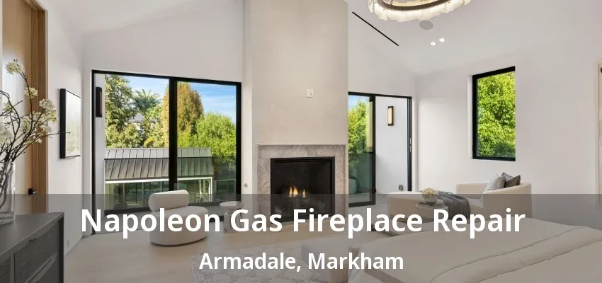 Napoleon Gas Fireplace Repair Armadale, Markham - ON