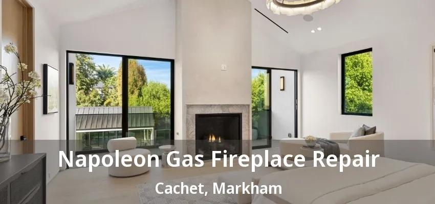 Napoleon Gas Fireplace Repair Cachet, Markham - ON