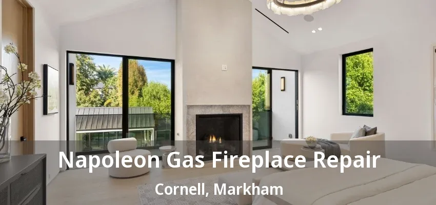 Napoleon Gas Fireplace Repair Cornell, Markham - ON