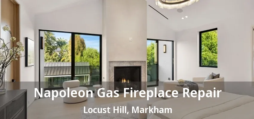 Napoleon Gas Fireplace Repair Locust Hill, Markham - ON