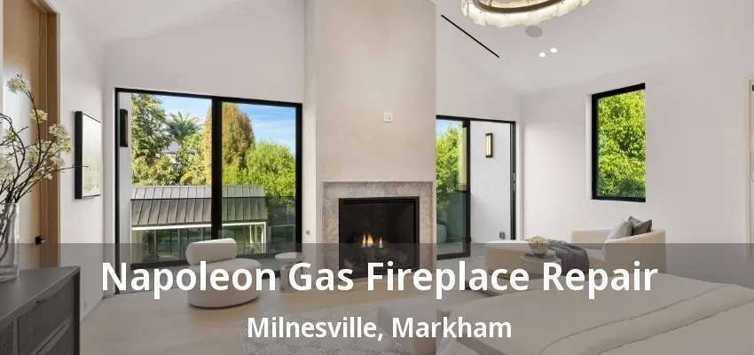 Napoleon Gas Fireplace Repair Milnesville, Markham - ON