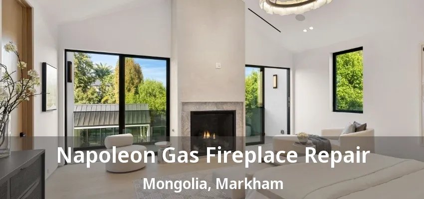 Napoleon Gas Fireplace Repair Mongolia, Markham - ON Napoleon Gas Fireplace Repair Mongolia, Markham - ON