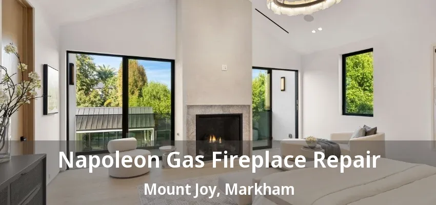 Napoleon Gas Fireplace Repair Mount Joy, Markham - ON