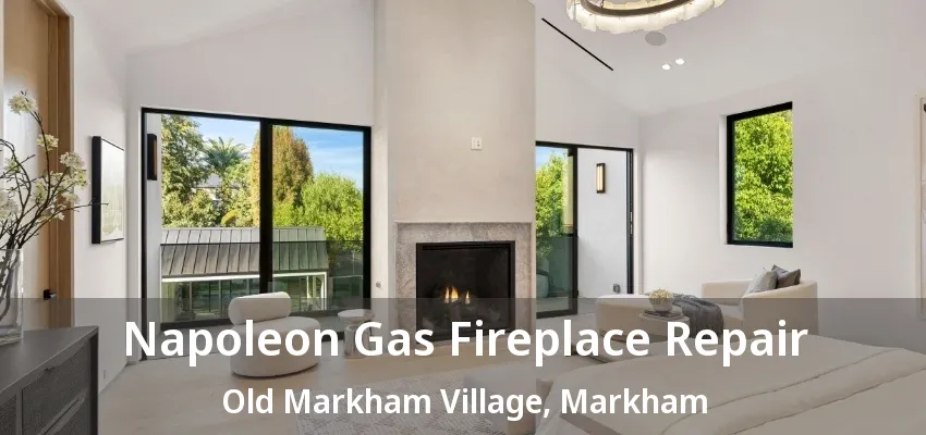 Napoleon Gas Fireplace Repair Old Markham Village, Markham - ON