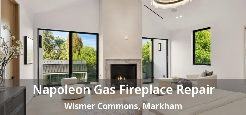 Napoleon Gas Fireplace Repair Wismer Commons, Markham - ON Napoleon Gas Fireplace Repair Wismer Commons, Markham - ON