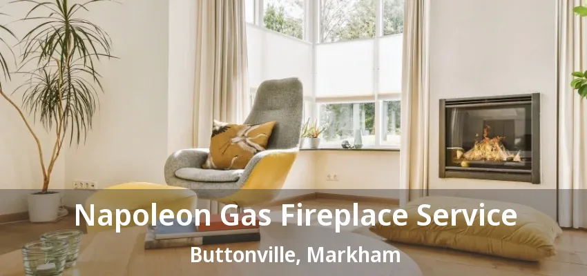 Napoleon Gas Fireplace Service Buttonville, Markham - ON Napoleon Gas Fireplace Service Buttonville, Markham - ON