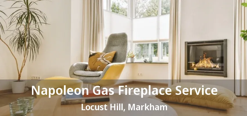Napoleon Gas Fireplace Service Locust Hill, Markham - ON