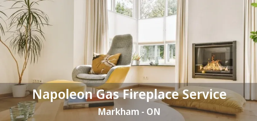 Napoleon Gas Fireplace Service Markham - ON