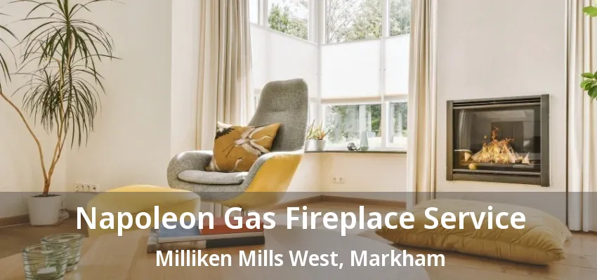 Napoleon Gas Fireplace Service Milliken Mills West, Markham - ON Napoleon Gas Fireplace Service Milliken Mills West, Markham - ON