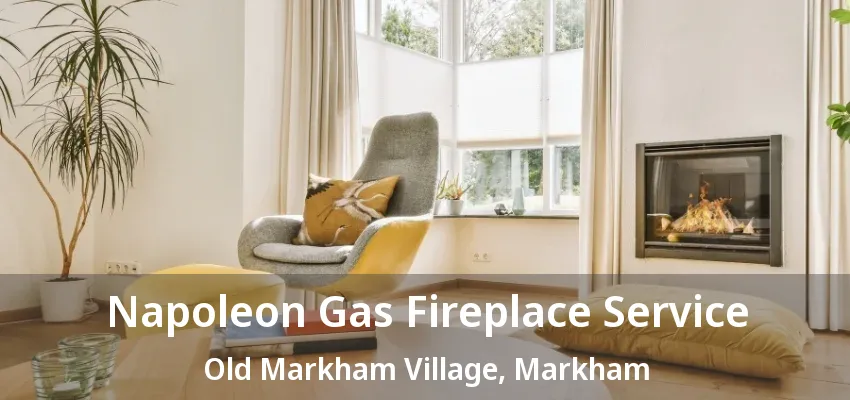 Napoleon Gas Fireplace Service Old Markham Village, Markham - ON