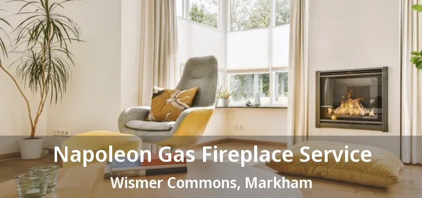 Napoleon Gas Fireplace Service Wismer Commons, Markham - ON Napoleon Gas Fireplace Service Wismer Commons, Markham - ON