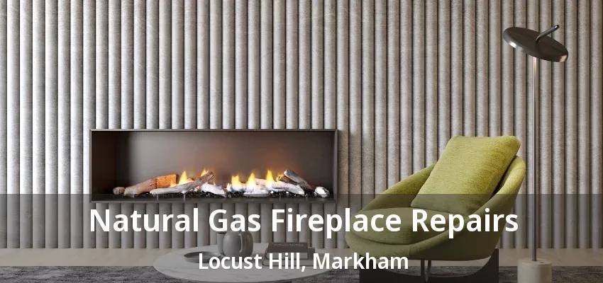 Natural Gas Fireplace Repairs Locust Hill, Markham - ON