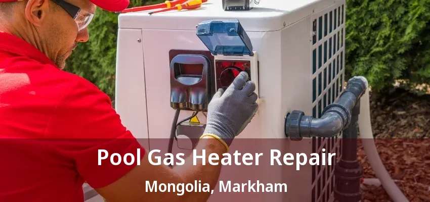 Pool Gas Heater Repair Mongolia, Markham - ON