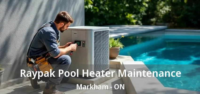 Raypak Pool Heater Maintenance Markham - ON