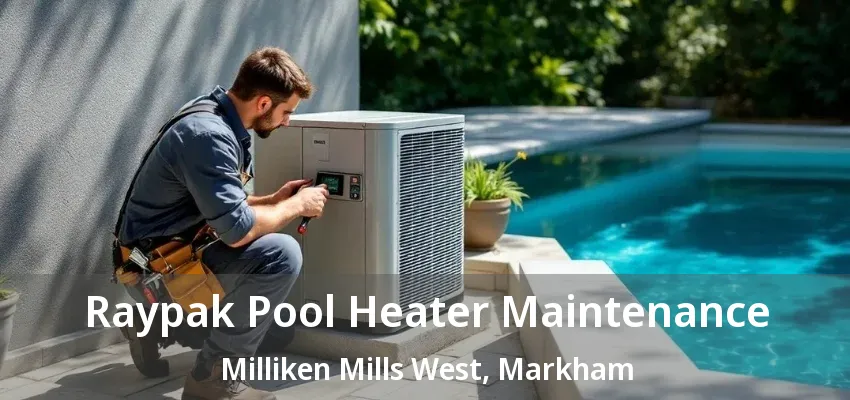 Raypak Pool Heater Maintenance Milliken Mills West, Markham - ON