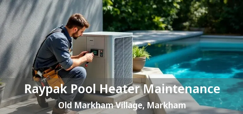 Raypak Pool Heater Maintenance Old Markham Village, Markham - ON