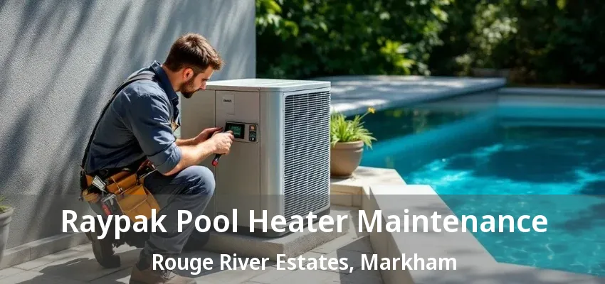 Raypak Pool Heater Maintenance Rouge River Estates, Markham - ON Raypak Pool Heater Maintenance Rouge River Estates, Markham - ON