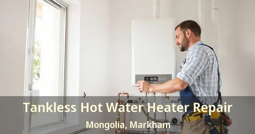 Tankless Hot Water Heater Repair Mongolia, Markham - ON Tankless Hot Water Heater Repair Mongolia, Markham - ON