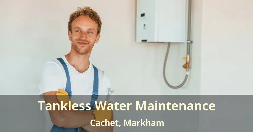Tankless Water Maintenance Cachet, Markham - ON Tankless Water Maintenance Cachet, Markham - ON