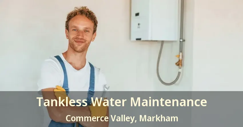 Tankless Water Maintenance Commerce Valley, Markham - ON Tankless Water Maintenance Commerce Valley, Markham - ON