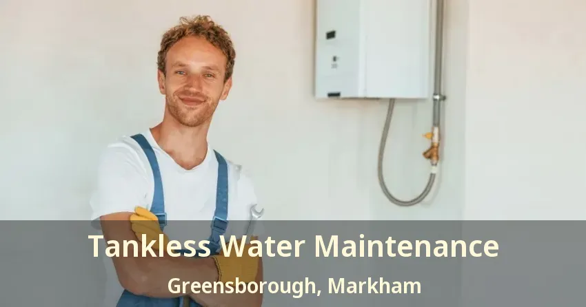 Tankless Water Maintenance Greensborough, Markham - ON Tankless Water Maintenance Greensborough, Markham - ON