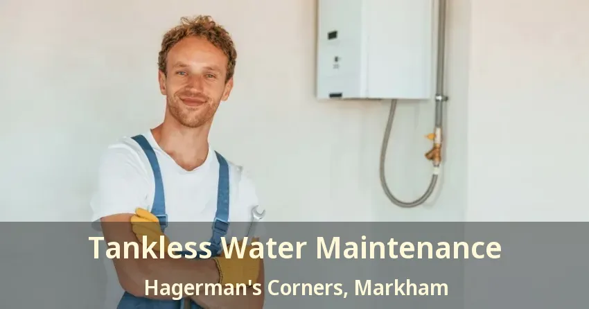 Tankless Water Maintenance Hagerman's Corners, Markham - ON Tankless Water Maintenance Hagerman's Corners, Markham - ON