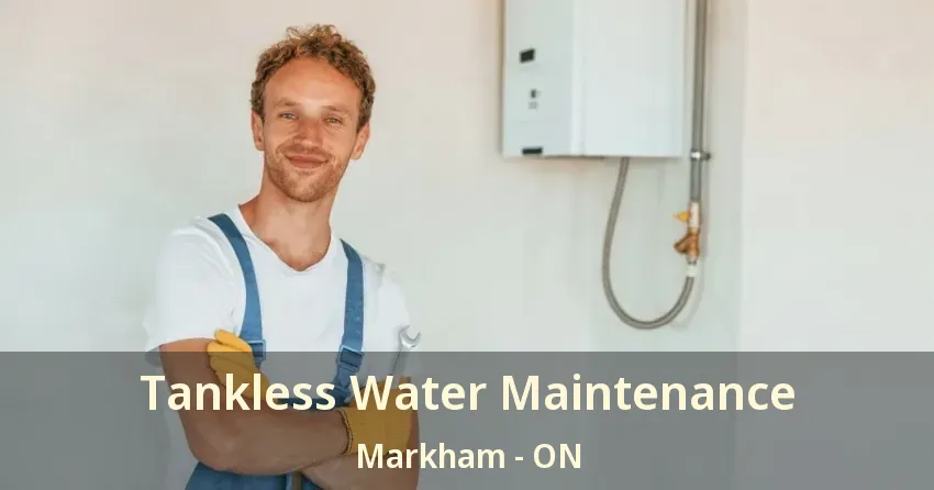 Tankless Water Maintenance Markham - ON Tankless Water Maintenance Markham - ON
