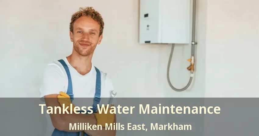Tankless Water Maintenance Milliken Mills East, Markham - ON Tankless Water Maintenance Milliken Mills East, Markham - ON