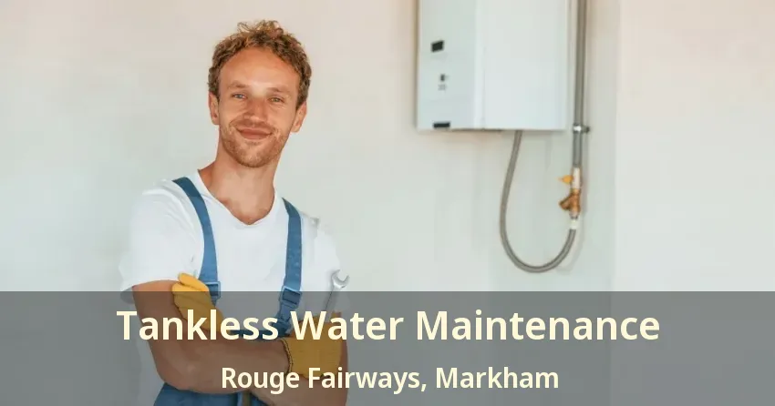 Tankless Water Maintenance Rouge Fairways, Markham - ON Tankless Water Maintenance Rouge Fairways, Markham - ON