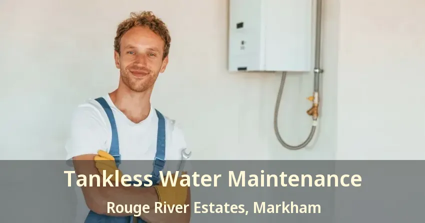 Tankless Water Maintenance Rouge River Estates, Markham - ON Tankless Water Maintenance Rouge River Estates, Markham - ON