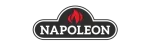 Napoleon Valor Gas Fireplace Repair in Markham